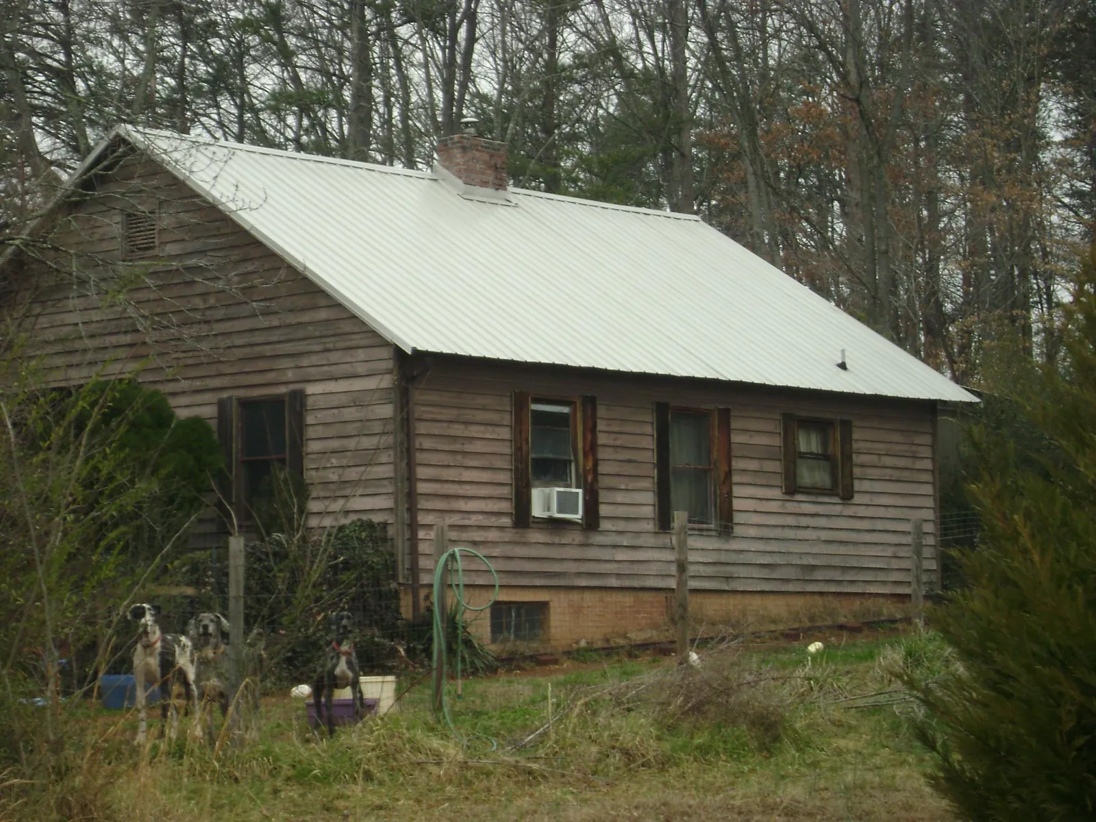 White metal roof on an old wood sided farmhouse, from a Asphalt Shingle Roof Repair job in Scottsville